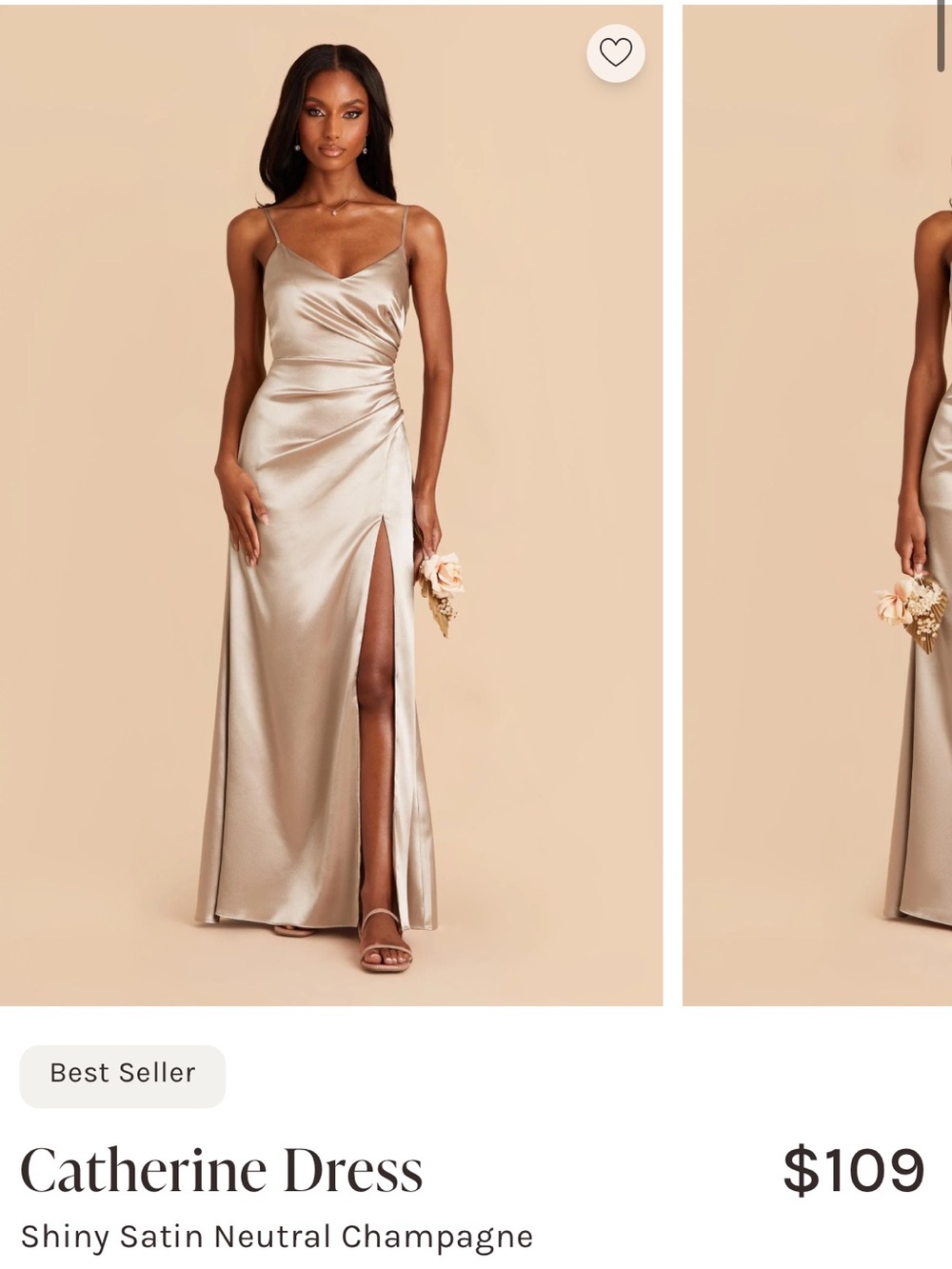 NWT Birdy Grey Catherine Shiny Dress in Neutral Champagne